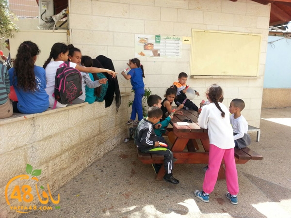 yom7era2 ludk (4).jpg